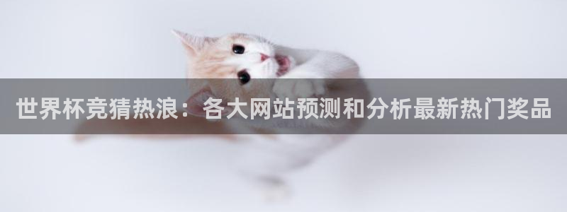 世界杯欧洲区预选赛赛程：世界杯竞猜热浪：各大网站预测和分析最新热门奖品