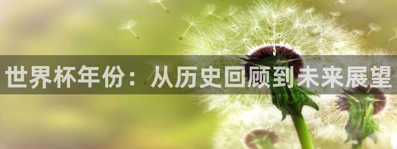 西超杯直播：世界杯年份：从历史回顾到未来展望