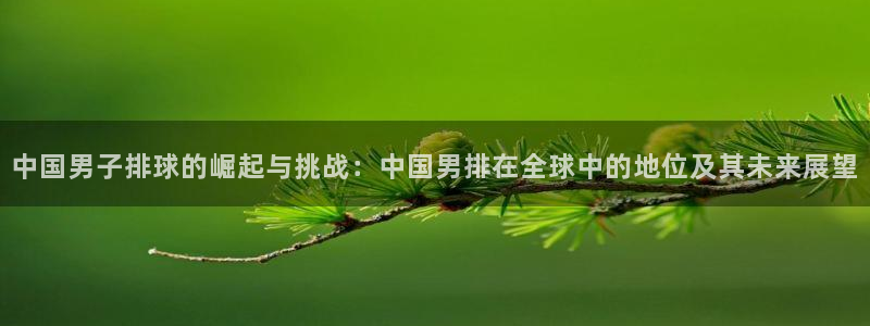 世界杯足球2026：中国男子排球的崛起与挑战：中国男排在全球中的地位及其未来展望