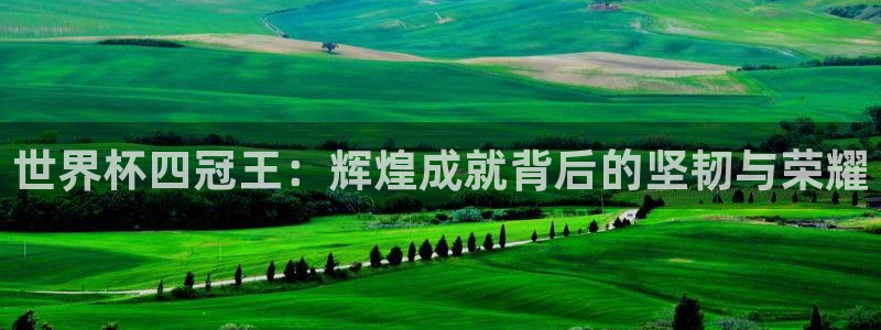 世界直播：世界杯四冠王：辉煌成就背后的坚韧与荣耀
