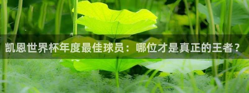 2026世界杯亚洲预选赛赛程：凯恩世界杯年度最佳球员：哪位才是真正的王者？