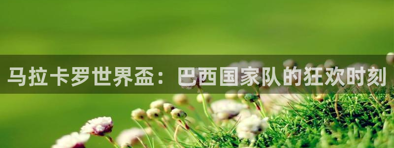 世界杯附加赛赛程表：马拉卡罗世界盃：巴西国家队的狂欢时刻