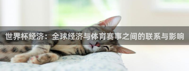 2026葡萄牙杯赛程表：世界杯经济：全球经济与体育赛事之间的联系与影响