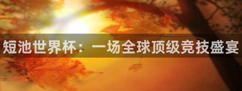 2026年世界杯：短池世界杯：一场全球顶级竞技盛宴
