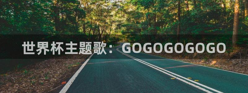 世界杯亚洲区预选赛：世界杯主题歌：GOGOGOGOGO