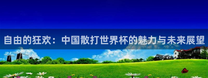 2026世界杯：自由的狂欢：中国散打世界杯的魅力与未来展望