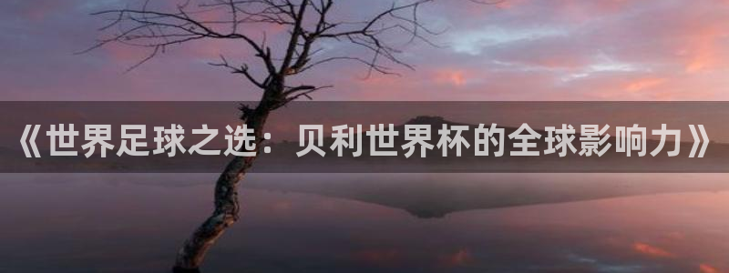 英足总杯直播：《世界足球之选：贝利世界杯的全球影响力》