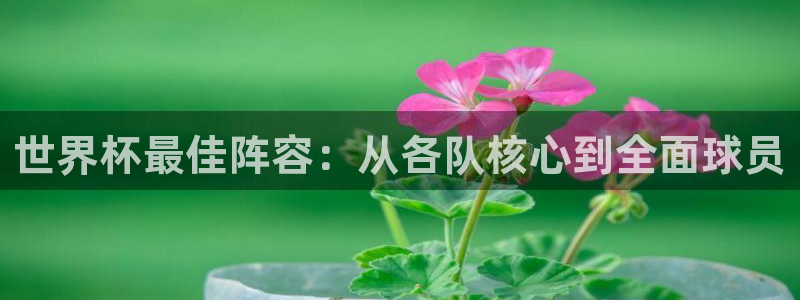 2026世预赛赛程表：世界杯最佳阵容：从各队核心到全面球员